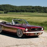 Ford Mustang Convertible Caged 10