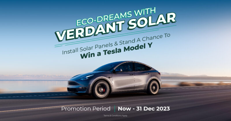 Tesla Model Y Verdant Solar 02