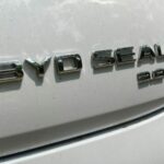 BYD Seal Performance AWD pandu uji 13
