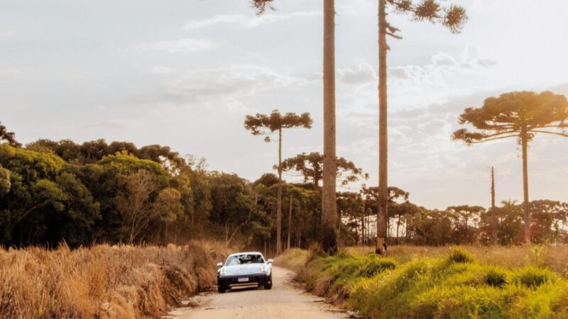 Porsche 911 Dakar Rally dos Sertoes